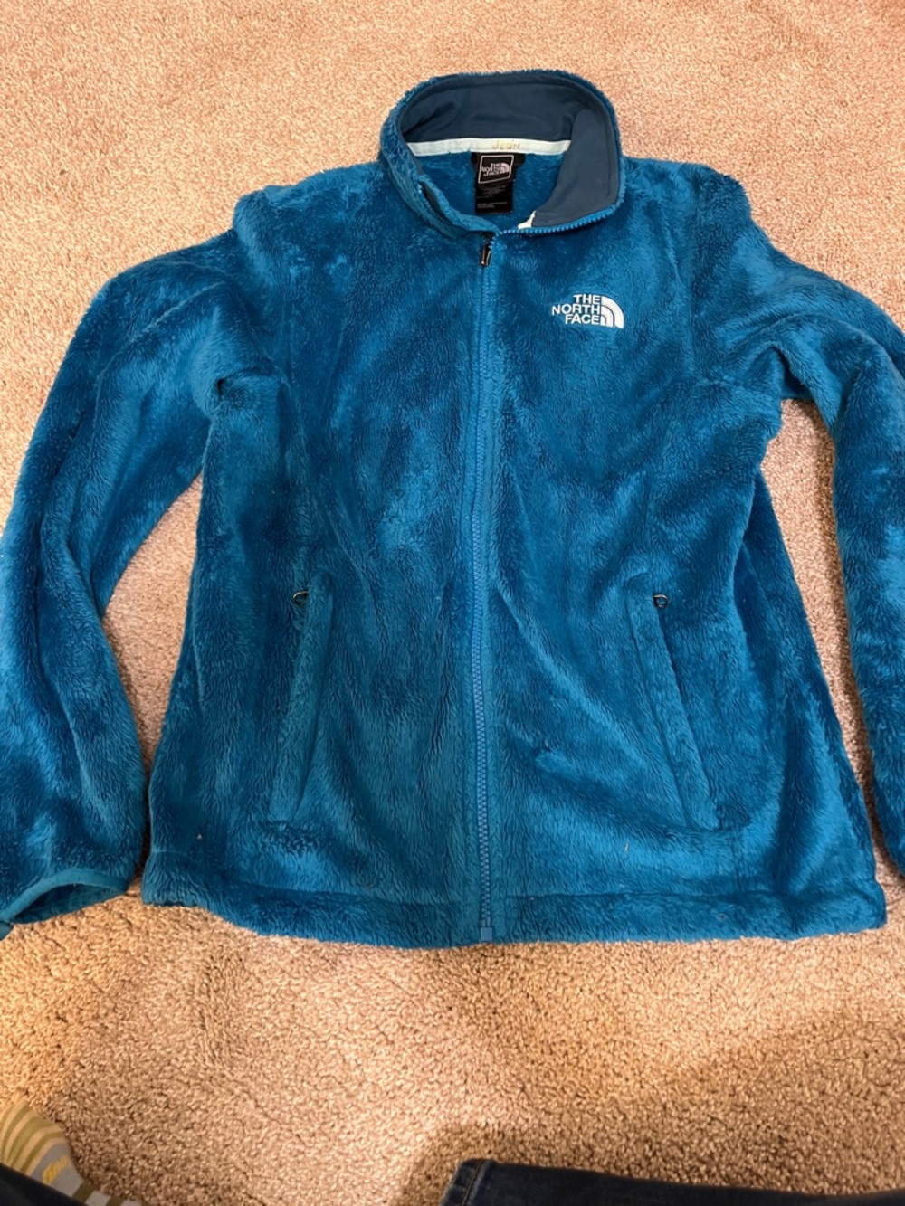 The North Face Teal Plush Full-Zip Fleece Jacket